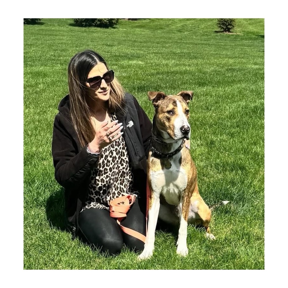 Meet your Posher, Gina Boscaino - Picture 4 of 16